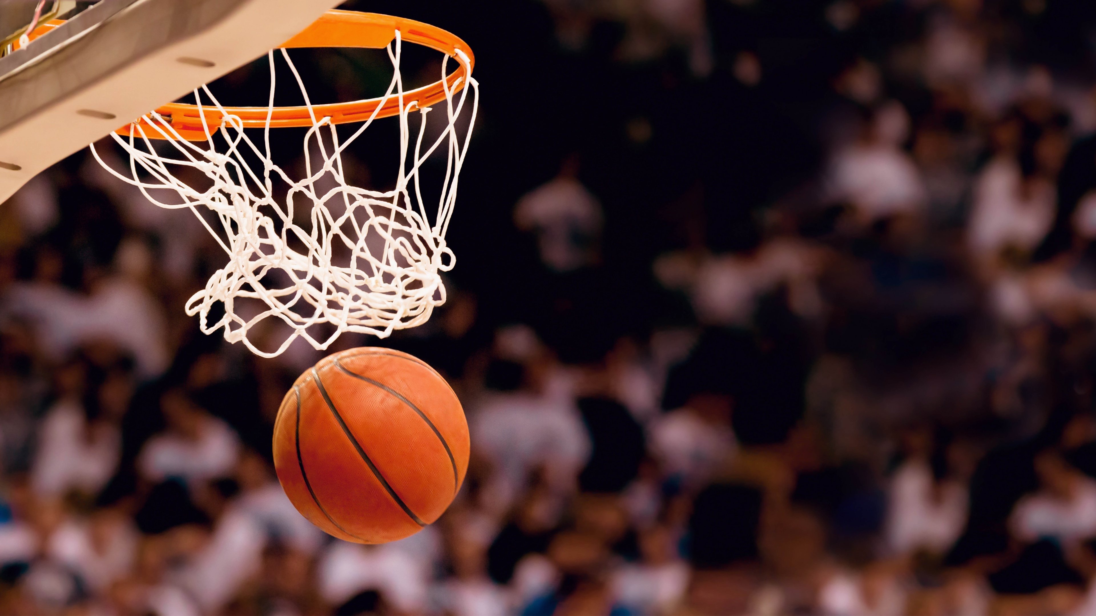 足篮大乱炖，本菲卡意甲梦、浙江队NBA造点、斯图加特亚冠奇观